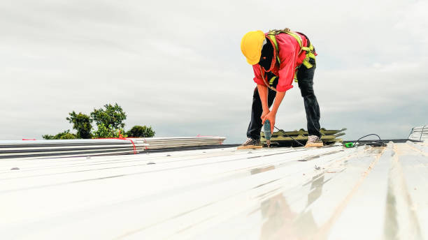Roof Insulation in Thonotosassa, FL